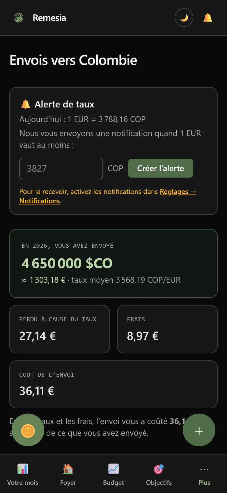Écran Envois : ce que vous avez envoyé dans l’année, la perte due au taux, les frais et le détail mois par mois